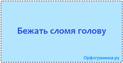 Бегу сломя голову. Сломя голову. Бежать сломя голову как сказать 1 словом. Бежал сломя голову запятая. Что обозначает слово сломя голову.