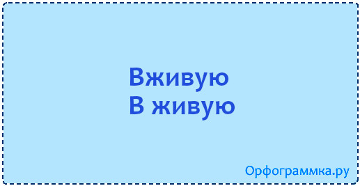 Фото в живую как пишется