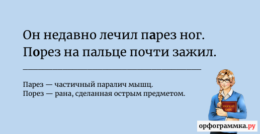 парез-порез