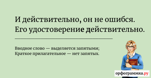 Действительно, запятые | Блог Орфограммки