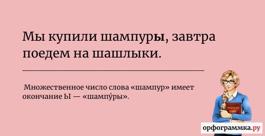 Вертят или вертют. Шампур множественное число. Шампуры ударение. Шампура или шампуры множественное число. Множественное число слова шампур.