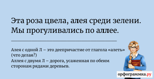 Что значит алеть. Аллеют или алеют. Алеть или аллеть глагол. Что такое алеть. Предложение алеть.