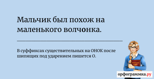 Сложное предложение со словом Волчонок. Волчонок как пишется. Волчёнок или Волчонок как правильно пишется. Как пишется слово Волчонок.