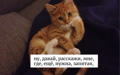 Лжевводные слова