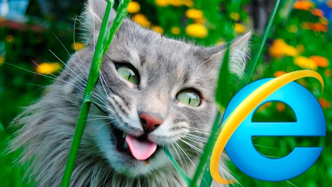 Ага, мы теперь тоже любим IE