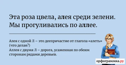 алея-аллея