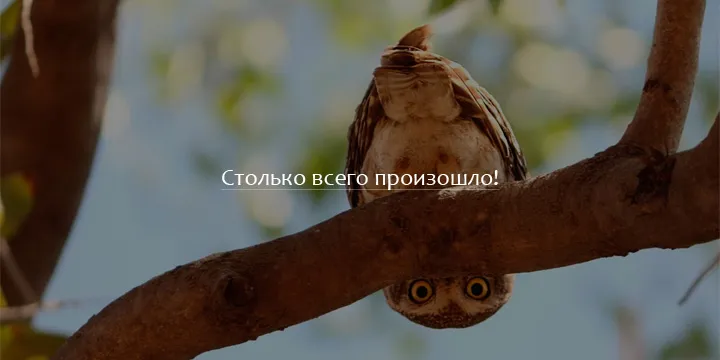 Апрельские новости. Столько всего произошло!
