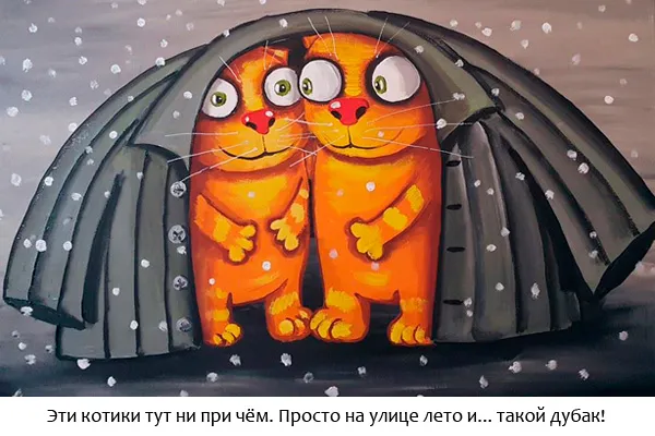 Блог Орфограммки. Внезапное лето