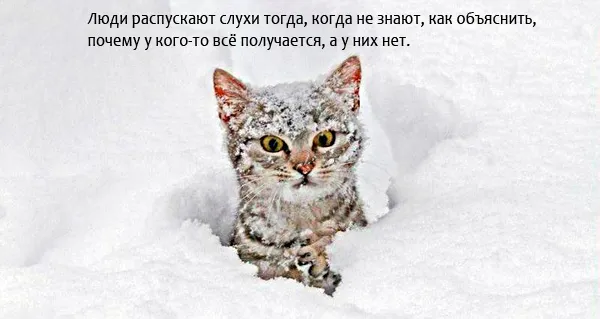 Блог Орфограммки. Не верьте слухам!
