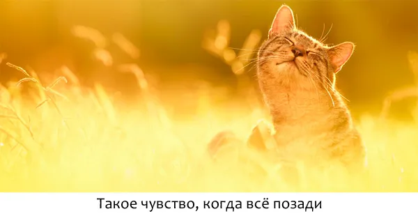 Блог Орфограммки. Переезд позади!