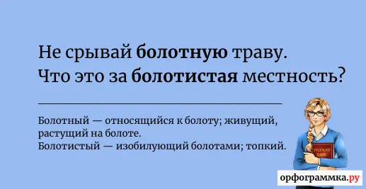 болотный-болотистый