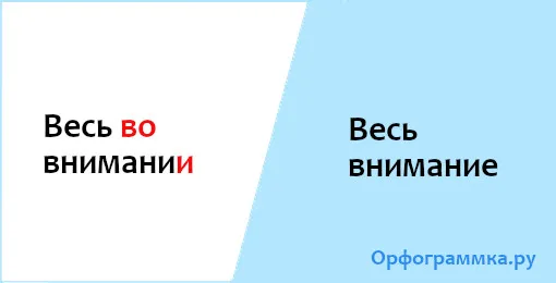 весь-внимание