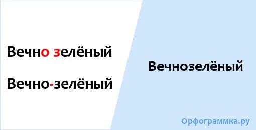 вечнозелёный