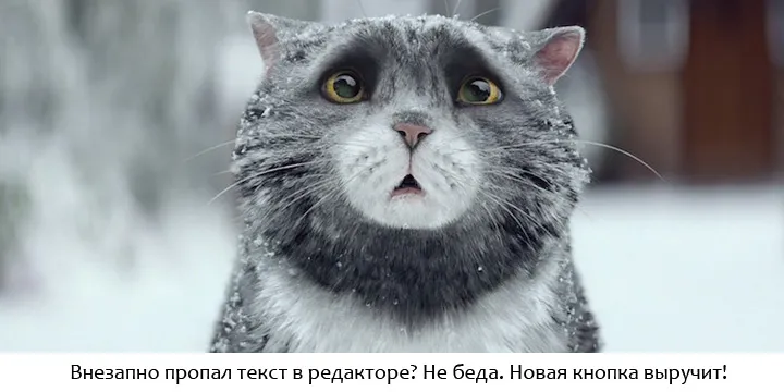 Внезапно пропал текст в редакторе?