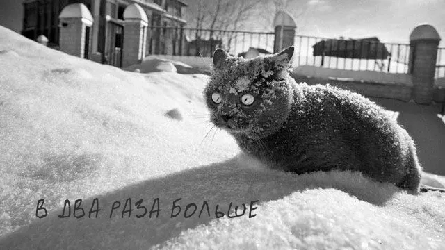 в два раза больше!