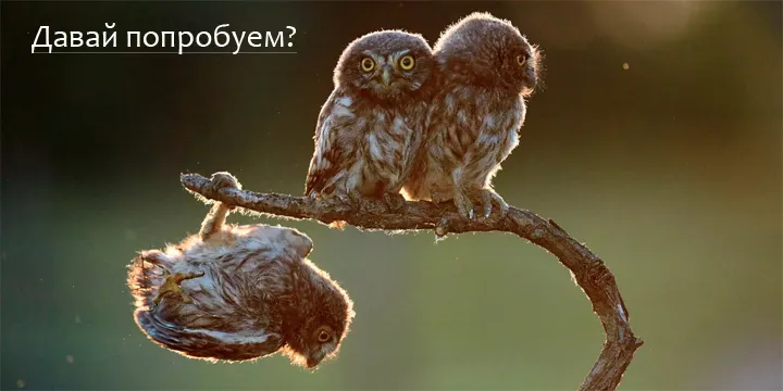 Давай попробуем?