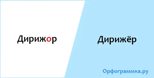 дирижёр
