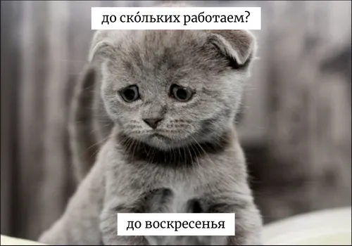 До скольки или до скольких