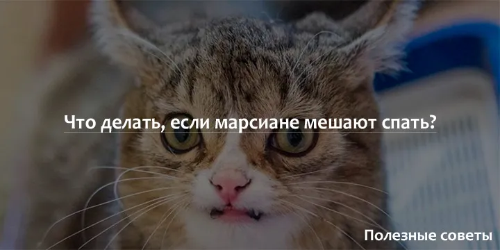 Если? Это хорошее слово!