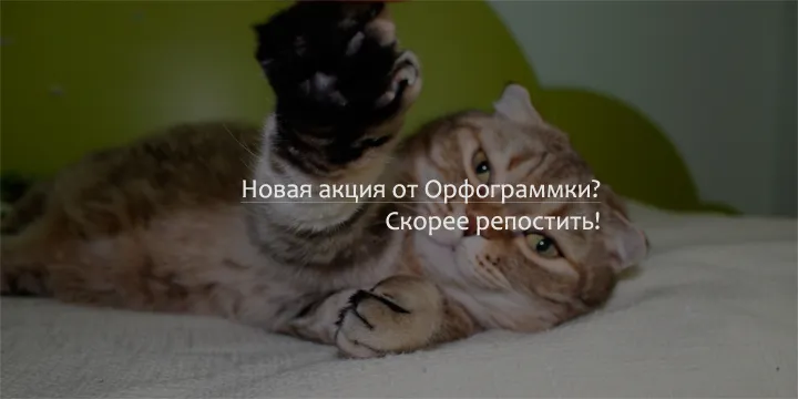 Жми репост!