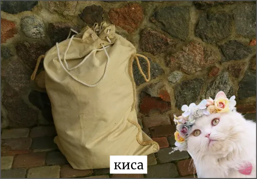 Значение слова киса
