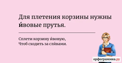 ивовый-ударение