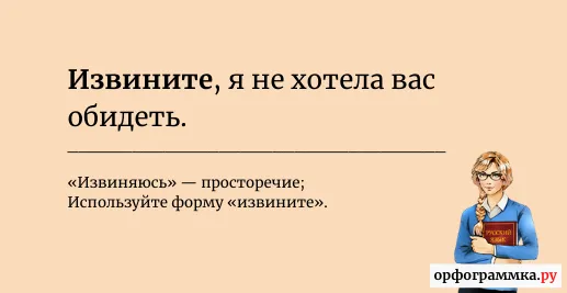 извините
