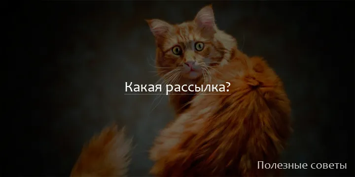 Какая рассылка? Мы не пишем писем и не шлём телеграмм.