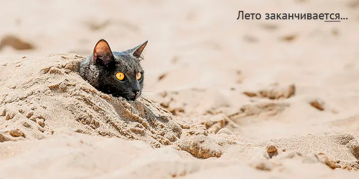 Лето заканчивается