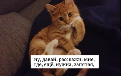 Лжевводные слова