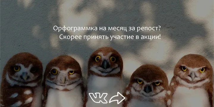 Литера5. Подписка за репост