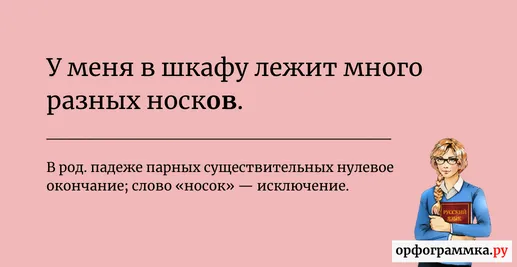 много-носок-носков