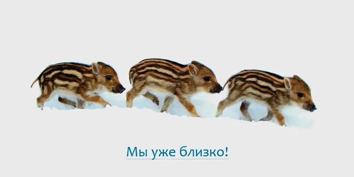 Мы уже близко!