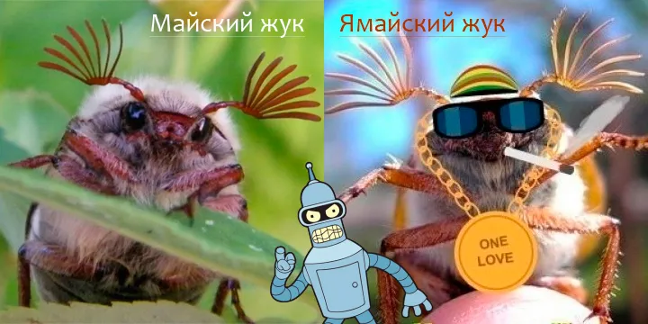 Неоднородные жуки