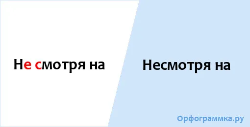 несмотря_на