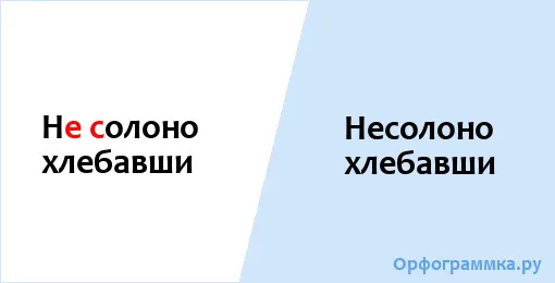 несолоно-хлеавши