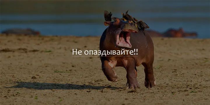 Не опаздывайте!
