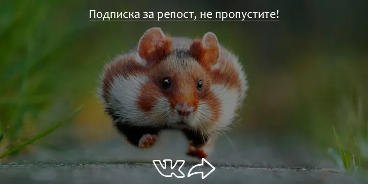 Не упустите!