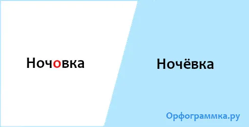 ночёвка
