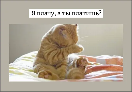 Омографы русского языка