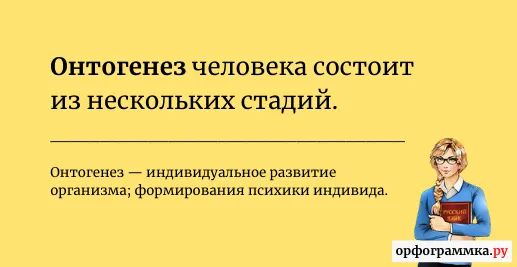 онтогенез