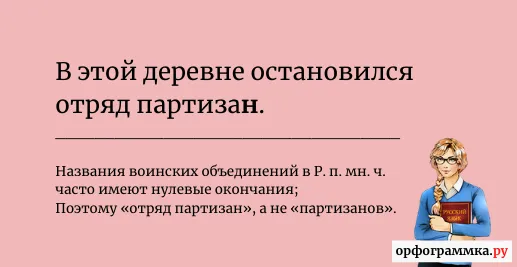 отряд-партизан