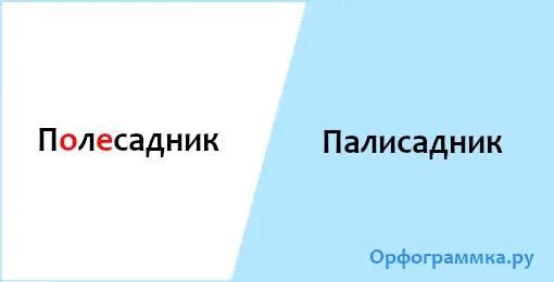 палисадник
