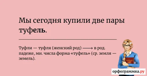 пара-туфель