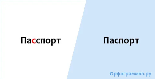 паспорт