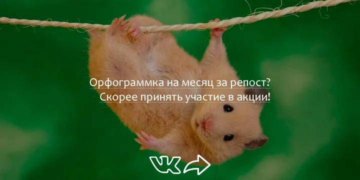 Подписка за репост!