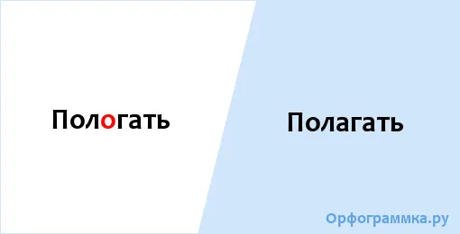 полагать