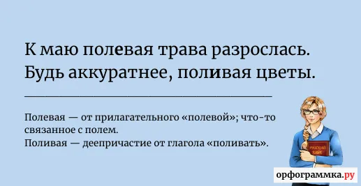 полевая-поливая