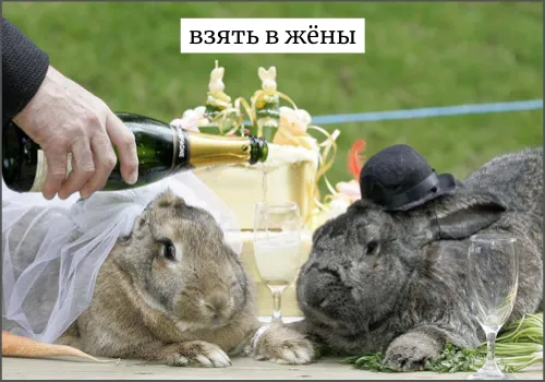 Превратительный падеж