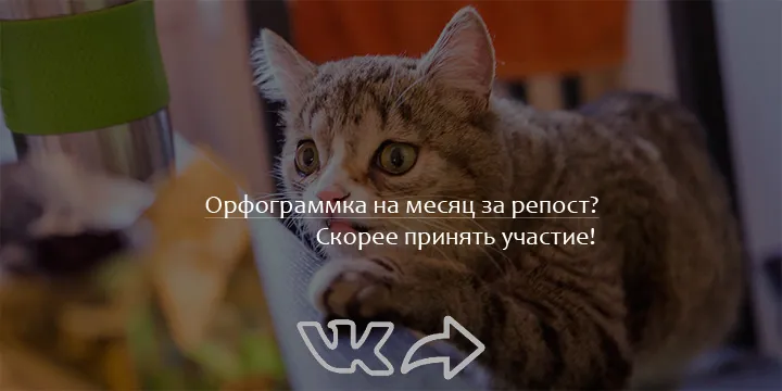 Пунктуация. Подписка за репост